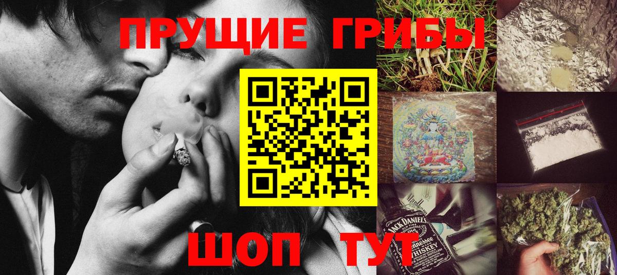 Михайловск  Галлюциногенные грибы мицелий  Вход с VPN  Галлюциногенные грибы Psilocybine cubensis 